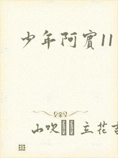 少年阿宾11