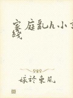 家庭乱h小说在线