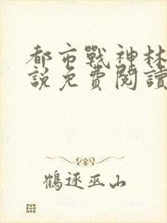 都市战神林北小说免费阅读封面