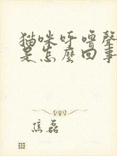 猫咪呼噜声很大是怎么回事