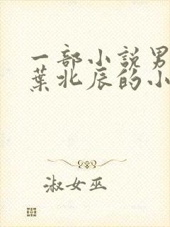 一部小说男主叫叶北辰的小说