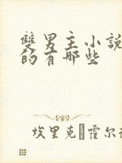 双男主小说好看的有哪些