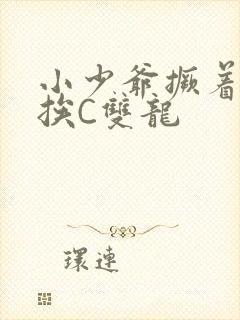 小少爷撅着屁股挨C双龙封面