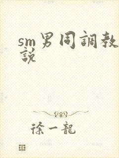 sm男同调教小说封面