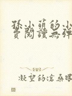 孙小萌的小说免费阅读无弹窗