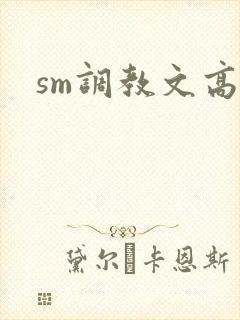 sm调教文高h