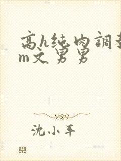 高h纯肉调教sm文男男