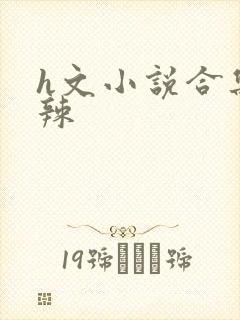 h文小说合集高辣