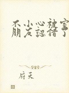 不小心被室友男朋友认错了宁笑阿温封面