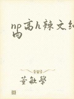 np高h辣文纯肉