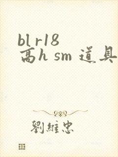 bl r18 高h sm 道具 文