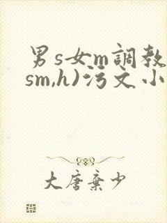 男s女m调教(sm,h)污文小说