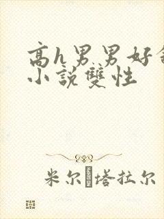 高h男男好舒服小说双性