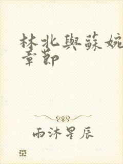 林北与苏婉最新章节