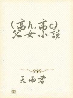 (高h,高c)父女小说