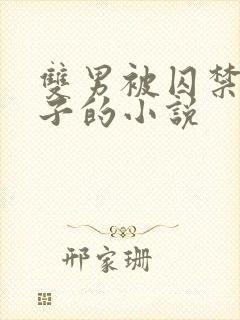 双男被囚禁还生子的小说