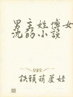 男主姓傅女主姓沈的小说