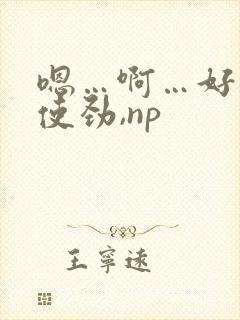 嗯…啊…好爽…使劲,np