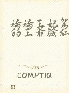 娇娇王妃驾到撩的王爷脸红心跳完整txt下载