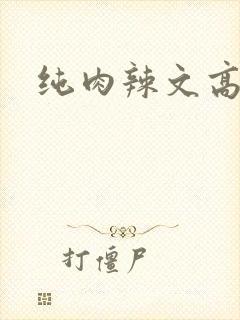 纯肉辣文高h