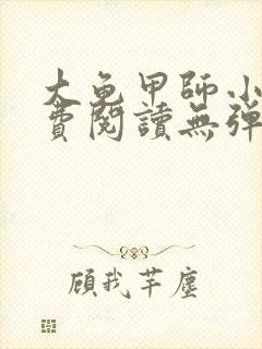 大龟甲师小说免费阅读无弹窗封面