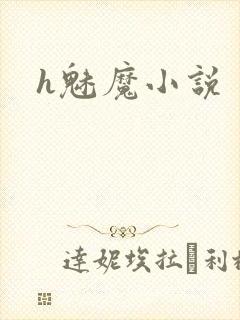 h魅魔小说