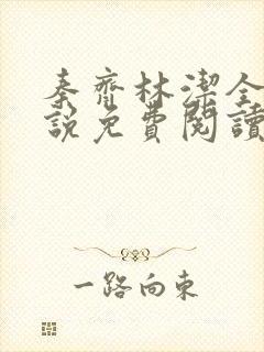 秦齐林洁全文小说免费阅读