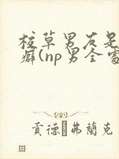 校草男友是绿帽癖(np男全处