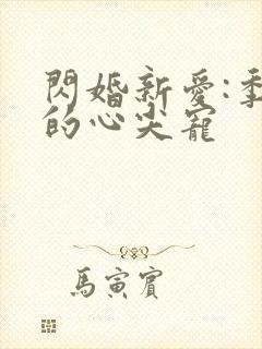 闪婚新爱:季少的心尖宠