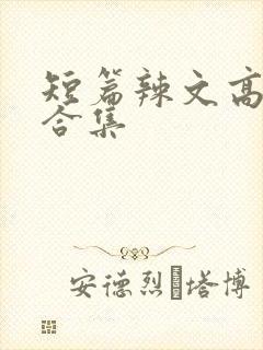 短篇辣文高h文合集