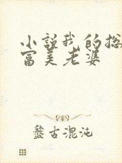 小说我的总裁白富美老婆