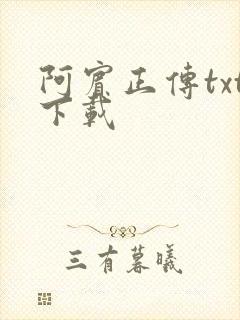 阿宾正传txt下载
