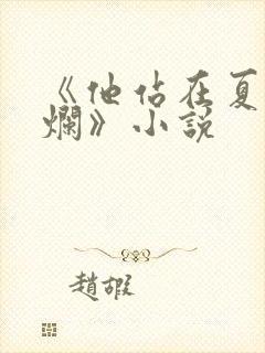 《他站在夏花绚烂》小说