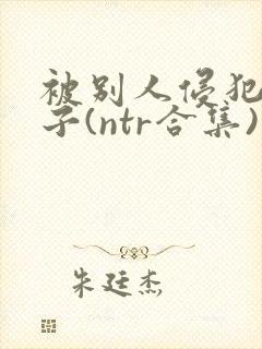 被别人侵犯的妻子(ntr合集)封面