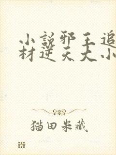 小说邪王追妻废材逆天大小姐