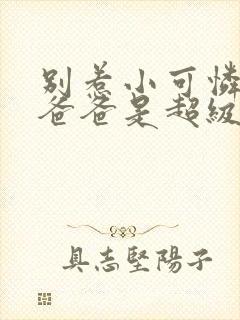 别惹小可怜,她爸爸是超级女儿奴短剧封面