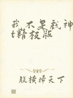 我不是戏神txt精校版封面