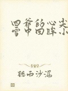 四爷的心尖宠妃雪中回眸小说精校版全集txt