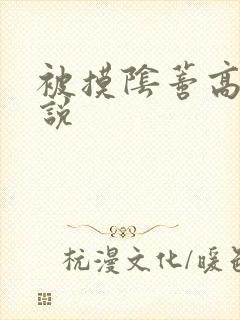 被摸阴蒂高潮小说封面