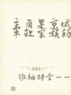 主角是京城顶级军政家族的都市小说