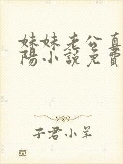 妹妹老公真捧赵阳小说免费阅读封面