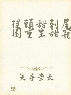 从头甜到尾的校园重生甜宠文封面