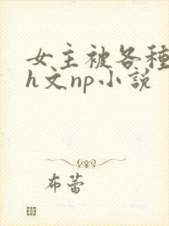 女主被各种调教h文np小说封面
