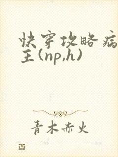 快穿攻略病娇男主(np,h)