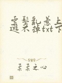 云鬓乱惹上奸臣逃不掉txt下载