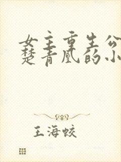 女主重生公主叫楚青凰的小说封面