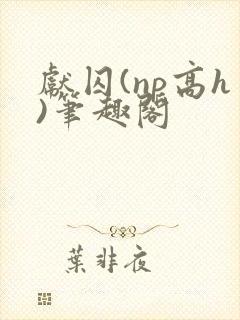 献囚(np高h)笔趣阁