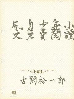 风月少年小说全文免费阅读最新章节