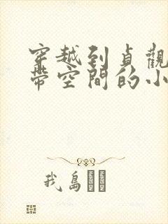 穿越到贞观年间带空间的小说封面