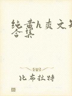 纯黄h爽文短篇合集封面